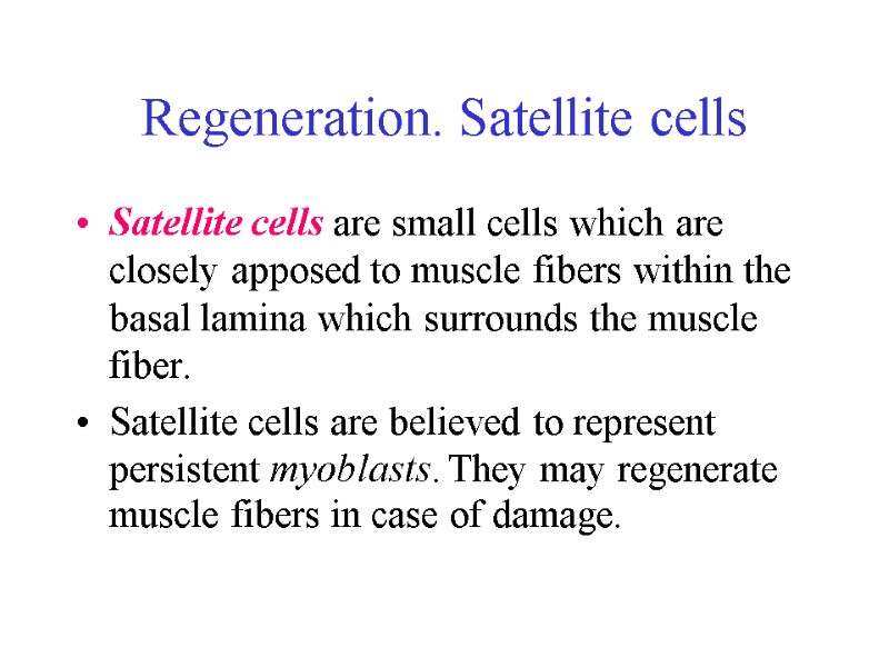 Regeneration. Satellite cells Satellite cells are small cells which are closely apposed to muscle Regeneration. Satellite cells Satellite cells are small cells which are closely apposed to muscle